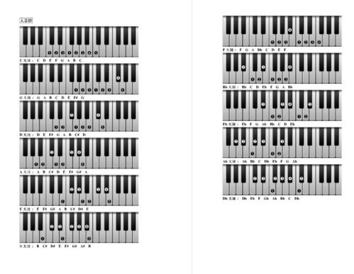 钢琴键与数字1234567对照表_钢琴键与数字1234567对照表图片