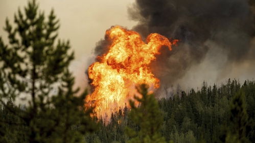 加拿大山火下雨会灭吗？_加拿大森林大火燃烧了多长时间？