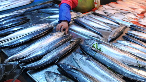 核污染海产品还能吃吗？_青岛产的海鲜被核污染了吗？